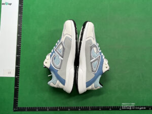 dior b30 QC image