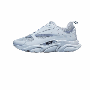Dior B22 sneakersCool Grey