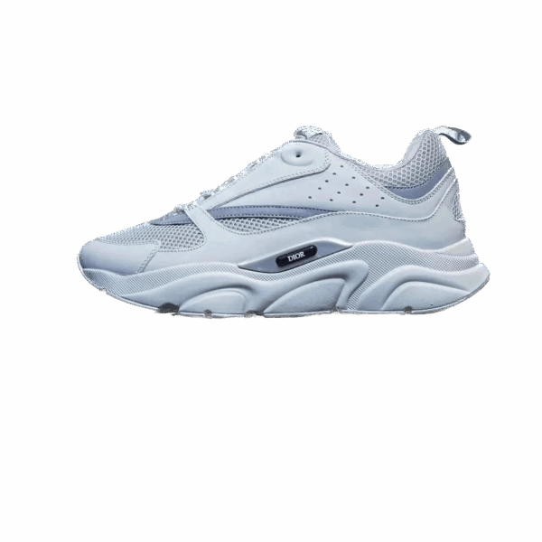 Dior B22 sneakersCool Grey