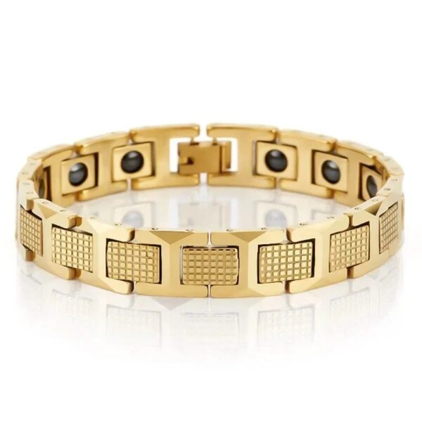 Titanium Diamond Fish Scale Bracelet