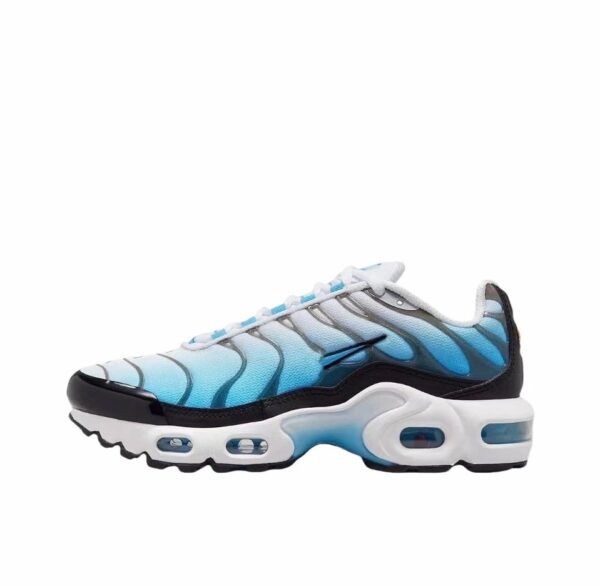 NIKE Air Max Plus Collection