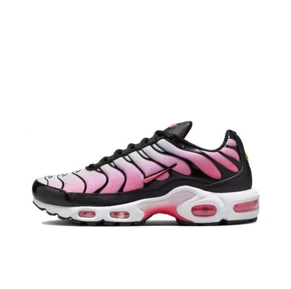 NIKE Air Max Plus Collection