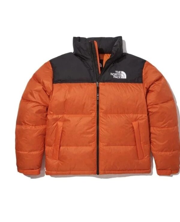 The north face 1996 Nuptse Classic Multicolor Down Jacket