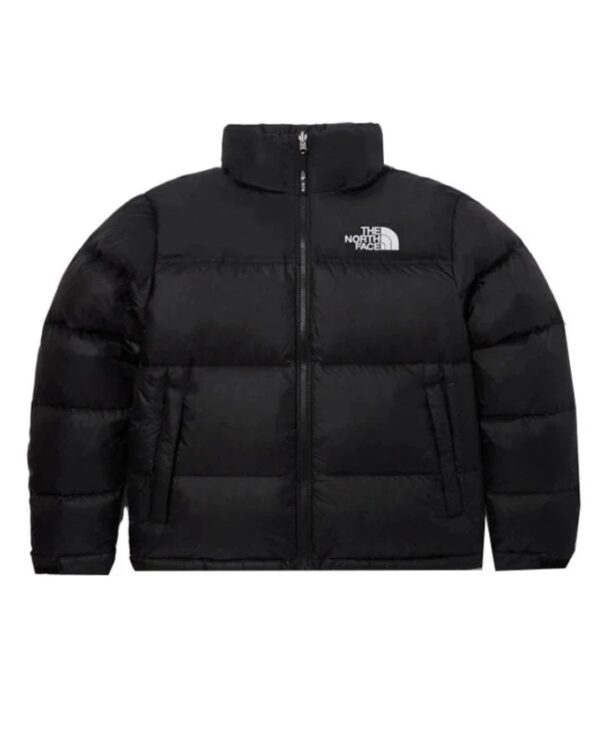 The north face 1996 Nuptse Classic Multicolor Down Jacket