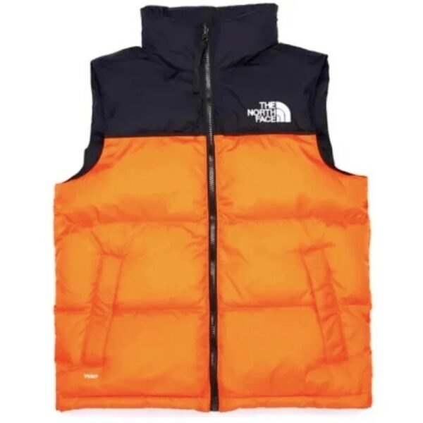 The north face 1996 Classic Couple's Vest