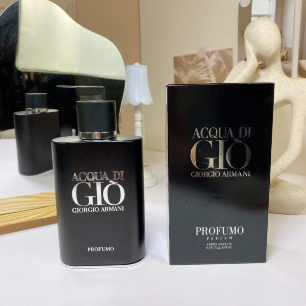 Giorgio Armani Acqua di Gi¨° Profumo Men's Fragrances