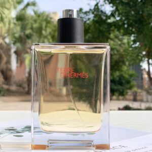 Hermès Terre d'Hermès Earth Eau de Toilette for Men