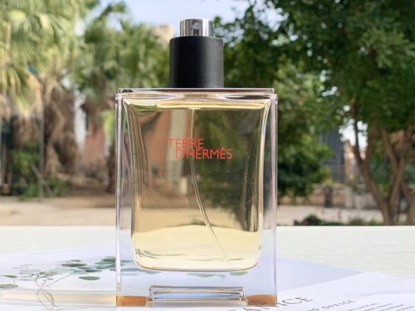 Hermès Terre d'Hermès Earth Eau de Toilette for Men