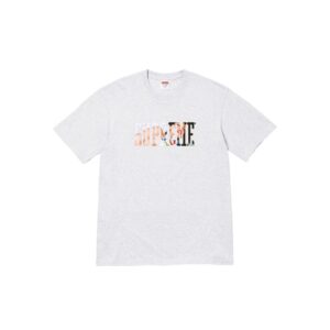 Supreme Classic Logo Print Gray Streetwear T-Shirt